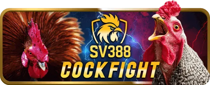 Hình ảnh minh họa biểu mẫu đăng ký 678win